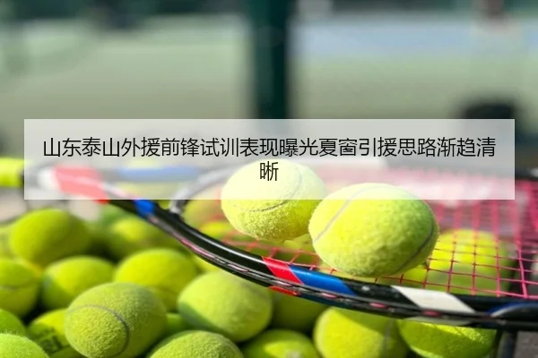 山东泰山外援前锋试训表现曝光夏窗引援思路渐趋清晰