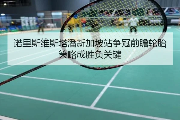 诺里斯维斯塔潘新加坡站争冠前瞻轮胎策略成胜负关键